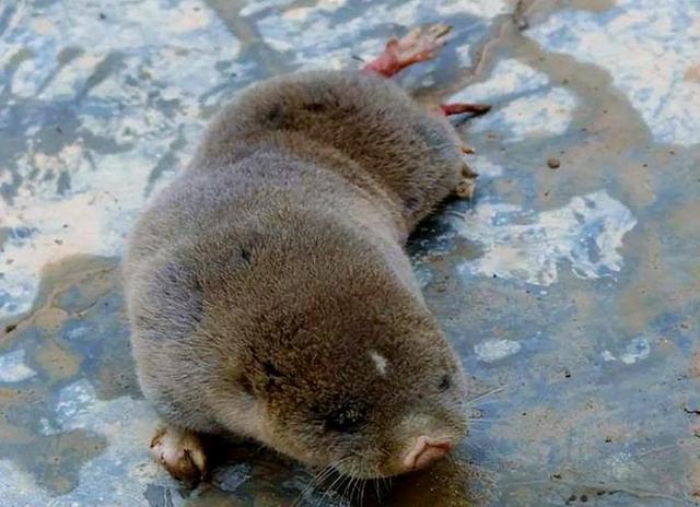 乐鱼-M骝???藪—?瀂畹??壭/`-乐鱼